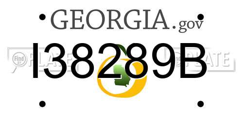 I38289B Georgia License Plate