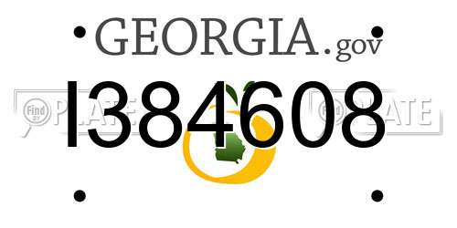 I384608 Georgia License Plate