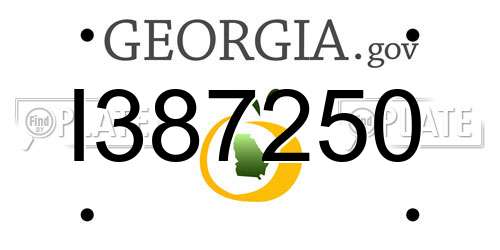 I387250 Georgia License Plate