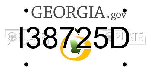 I38725D Georgia License Plate