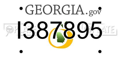 I387895 Georgia License Plate