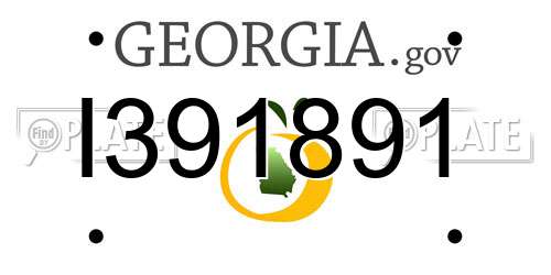 I391891 Georgia License Plate