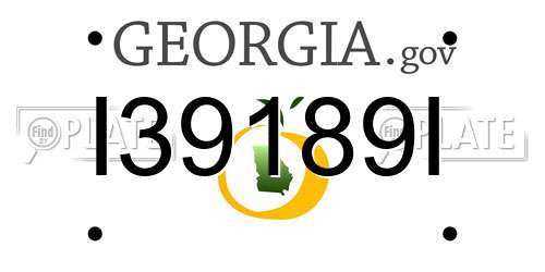 I39189I Georgia License Plate