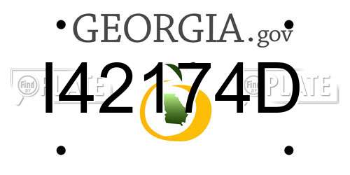 I42174D Georgia License Plate