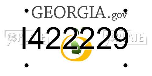I422229 Georgia License Plate