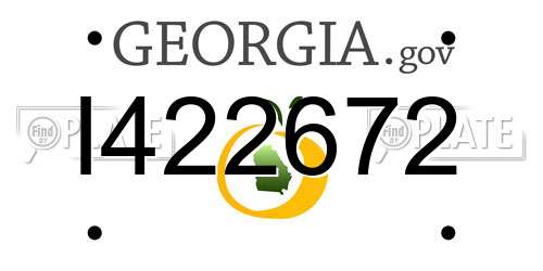 I422672 Georgia License Plate