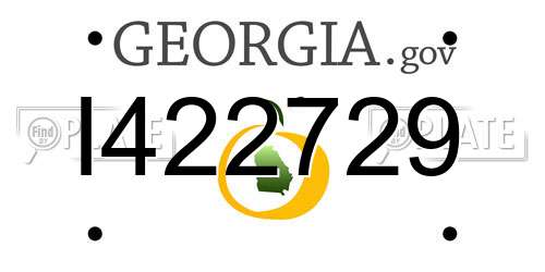I422729 Georgia License Plate