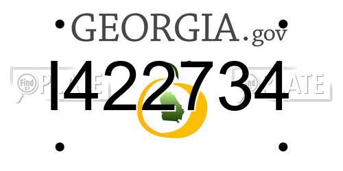 I422734 Georgia License Plate