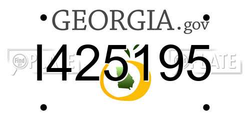 I425195 Georgia License Plate