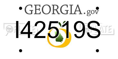 I42519S Georgia License Plate