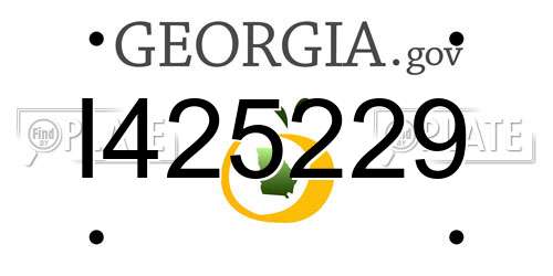 I425229 Georgia License Plate