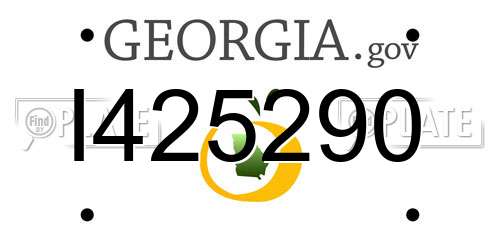 I425290 Georgia License Plate