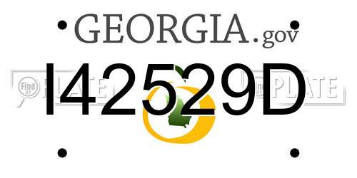 I42529D Georgia License Plate