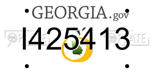I425413 Georgia License Plate