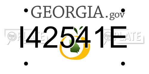 I42541E Georgia License Plate