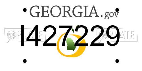I427229 Georgia License Plate