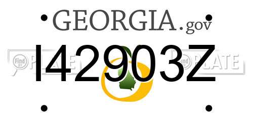 I42903Z Georgia License Plate