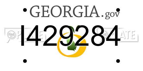I429284 Georgia License Plate