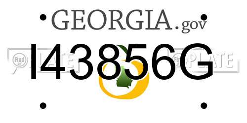 I43856G Georgia License Plate