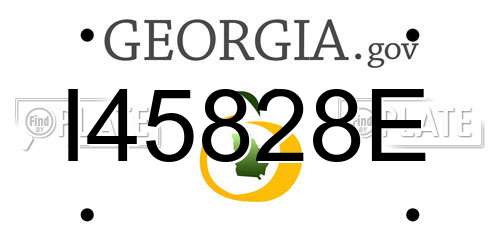 I45828E Georgia License Plate