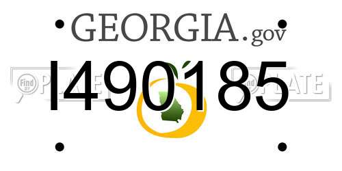 I490185 Georgia License Plate