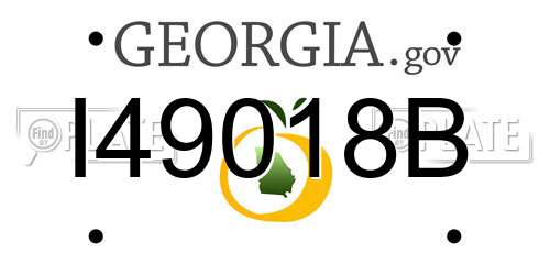I49018B Georgia License Plate