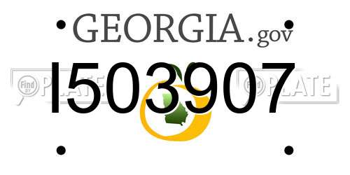 I503907 Georgia License Plate