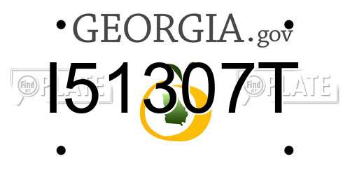 I51307T Georgia License Plate