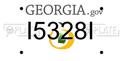 I5328I Georgia License Plate