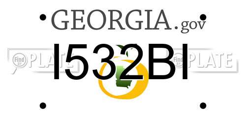 I532BI Georgia License Plate