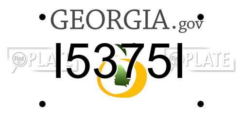 I5375I Georgia License Plate