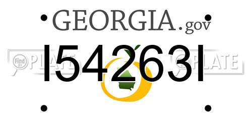 I54263I Georgia License Plate