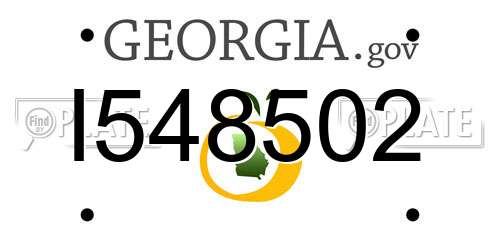 I548502 Georgia License Plate