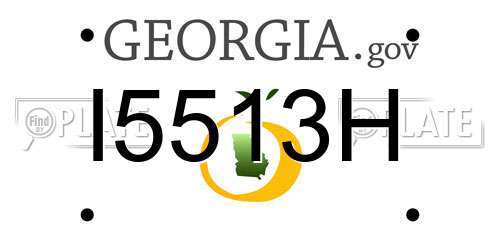 I5513H Georgia License Plate