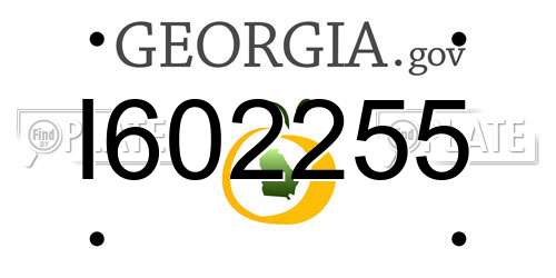 I602255 Georgia License Plate