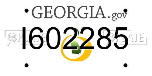 I602285 Georgia License Plate