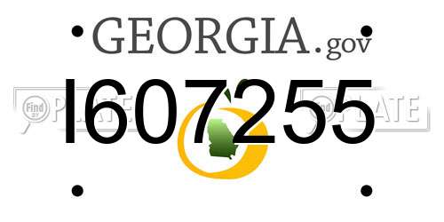 I607255 Georgia License Plate