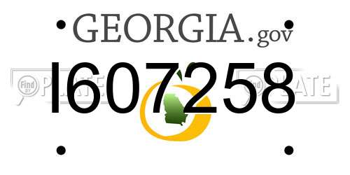I607258 Georgia License Plate