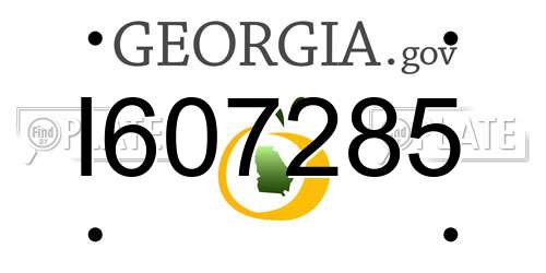 I607285 Georgia License Plate