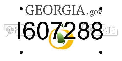 I607288 Georgia License Plate