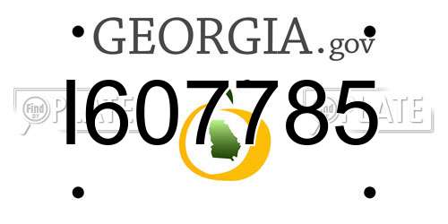 I607785 Georgia License Plate