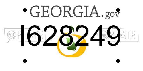 I628249 Georgia License Plate