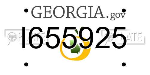 I655925 Georgia License Plate
