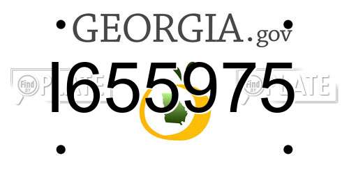 I655975 Georgia License Plate
