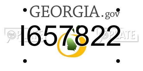 I657822 Georgia License Plate