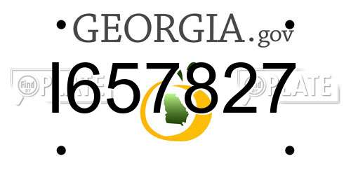 I657827 Georgia License Plate