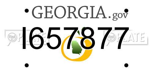 I657877 Georgia License Plate