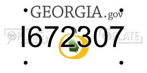 I672307 Georgia License Plate