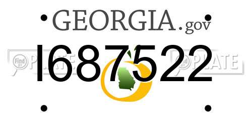 I687522 Georgia License Plate