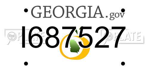 I687527 Georgia License Plate
